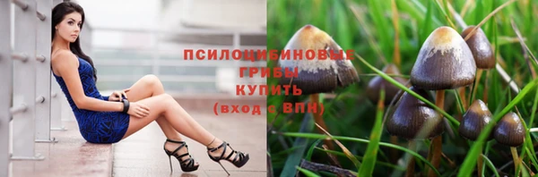 тгк Белоозёрский